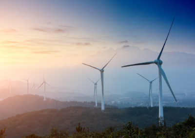 Oxford Launches New Principles For Credible Carbon Offsetting