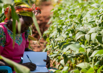 Extreme Heat Going Unrecorded In Africa – Oxford Research