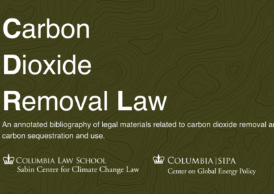 Columbia University Launches the World’s First ‘Carbon Dioxide Removal Law’ Database