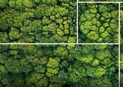 Net Zero APPG – The role of the Land in achieving Net Zero